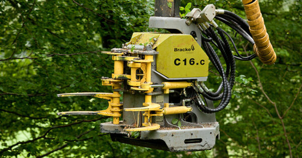 C16.c - Image 2