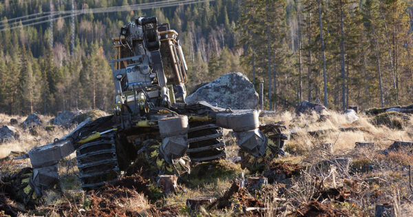 T35.b - Image 2