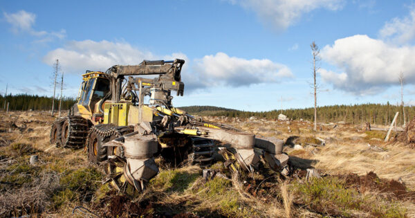 T35.b - Image 4